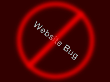 Website Bug Fixed